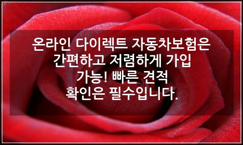 오늘의 이미지