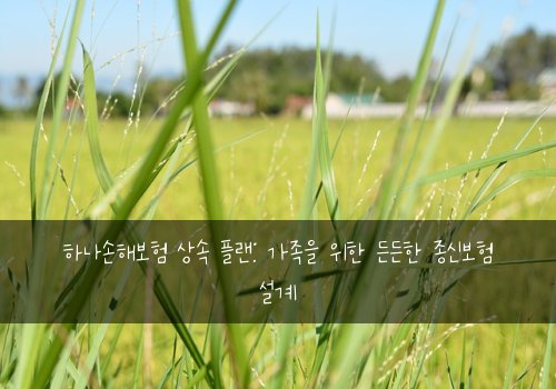 하나손해보험 상속 플랜: 가족을 위한 든든한 종신보험 설계