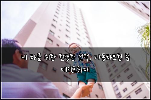  내 차를 위한 현명한 선택, 자동차보험 좀 메리츠화재