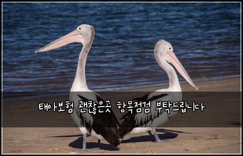 태아보험 괜찮은곳  항목점검 부탁드립니다