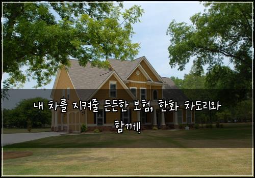  내 차를 지켜줄 든든한 보험, 한화 차도리와 함께!