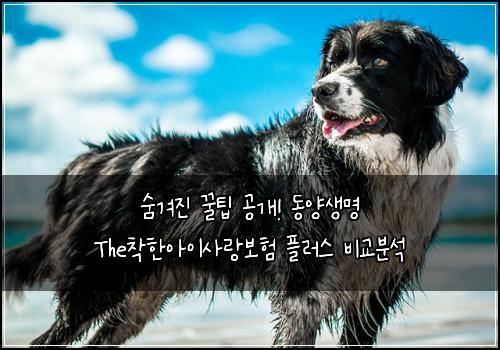 숨겨진 꿀팁 공개! 동양생명 The착한아이사랑보험 플러스 비교분석