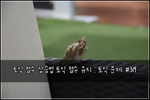토익 점수 상승법 토익 점수 유지 : 토익 문제 #319
