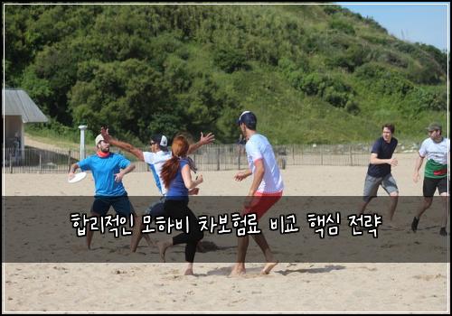  합리적인 모하비 차보험료 비교 핵심 전략