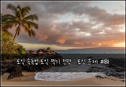 토익 속독법 토익 찍기 전략 : 토익 문제 #1811