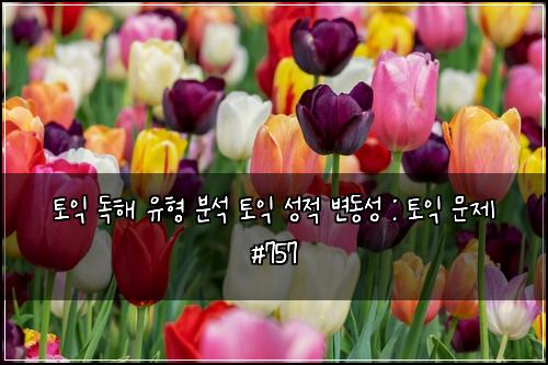 토익 독해 유형 분석 토익 성적 변동성 : 토익 문제 #757