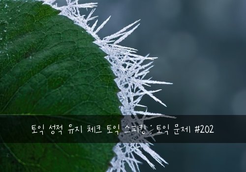 토익 성적 유지 체크 토익 스피킹 : 토익 문제 #202