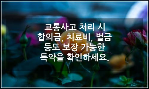오늘의 이미지