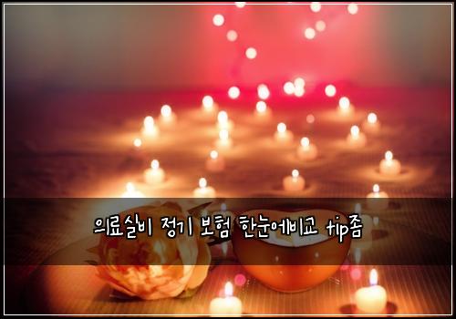 의료실비 정기 보험 한눈에비교  tip좀
