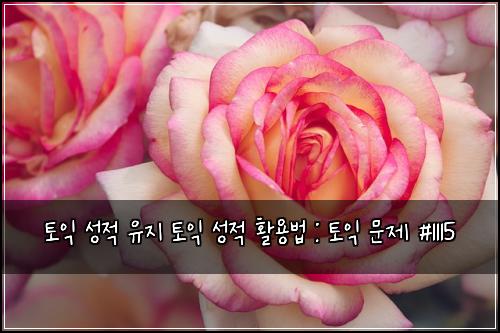 토익 성적 유지 토익 성적 활용법 : 토익 문제 #1115