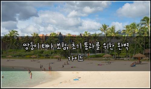  쌍둥이 태아 보험, 초기 통과를 위한 완벽 가이드