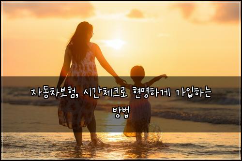자동차보험, 시간체크로 현명하게 가입하는 방법