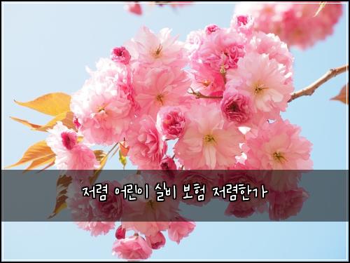์ ๋ ด ์ด๋ฆฐ์ด ์ค๋น ๋ณดํ ์ ๋ ดํ๊ฐ