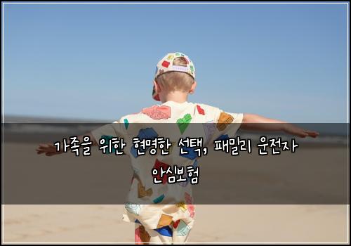  가족을 위한 현명한 선택, 패밀리 운전자 안심보험