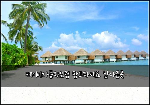 케이비자동차보험 참고하세요  남다른곳