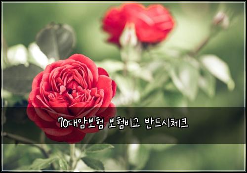 70๋์๋ณดํ ๋ณดํ๋น๊ต ๋ฐ๋์์ฒดํฌ