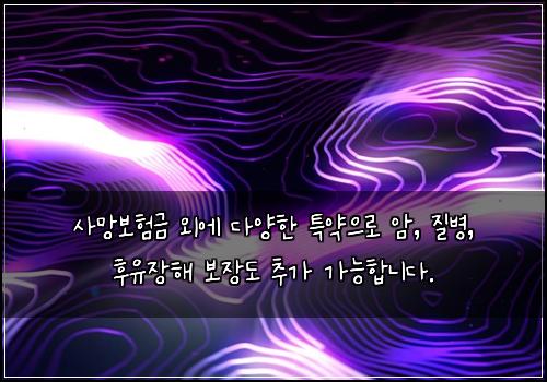 사망보험금 외에 다양한 특약으로 암, 질병, 후유장해 보장도 추가 가능합니다.
