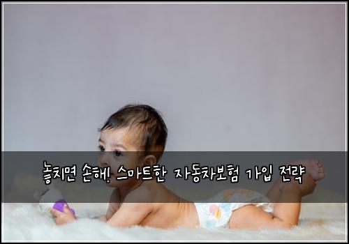  놓치면 손해! 스마트한 자동차보험 가입 전략