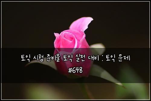 토익 시험 준비물 토익 실전 대비 : 토익 문제 #648