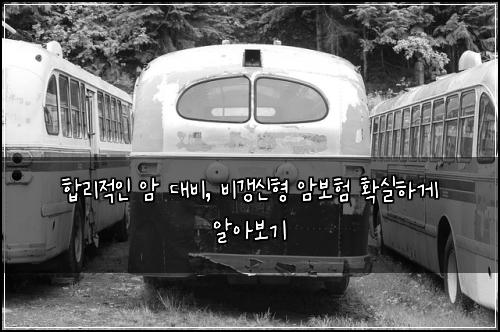  합리적인 암 대비, 비갱신형 암보험 확실하게 알아보기