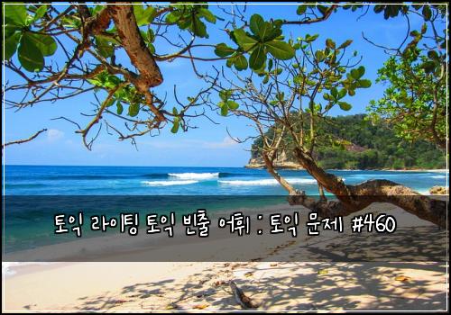 토익 라이팅 토익 빈출 어휘 : 토익 문제 #460