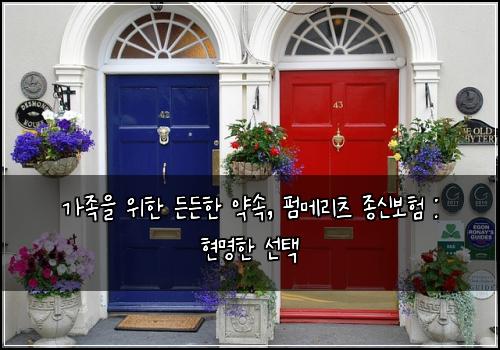 가족을 위한 든든한 약속, 펌메리츠 종신보험 : 현명한 선택