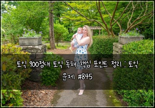 토익 900점대 토익 독해 핵심 포인트 정리 : 토익 문제 #845