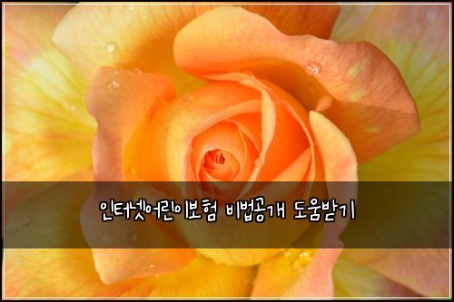 인터넷어린이보험 비법공개  도움받기