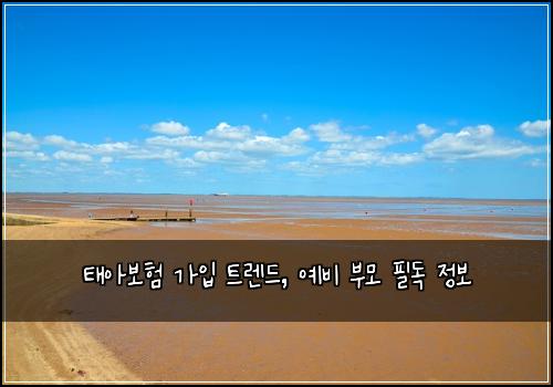 태아보험 가입 트렌드, 예비 부모 필독 정보