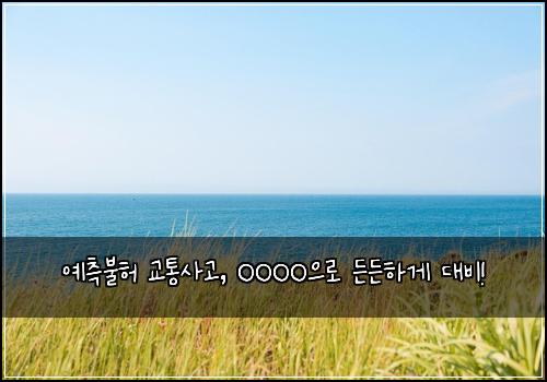  예측불허 교통사고, OOOO으로 든든하게 대비!