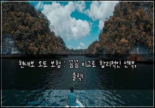 현대보 오토 보험 : 꼼꼼 비교로 합리적인 선택, 클릭!
