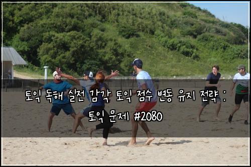 토익 독해 실전 감각 토익 점수 변동 유지 전략 : 토익 문제 #2080