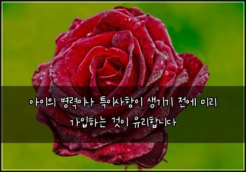 아이의 병력이나 특이사항이 생기기 전에 미리 가입하는 것이 유리합니다