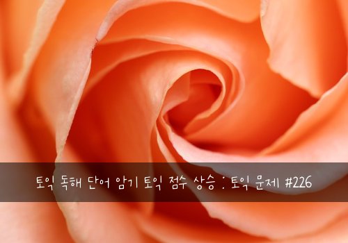 토익 독해 단어 암기 토익 점수 상승 : 토익 문제 #226