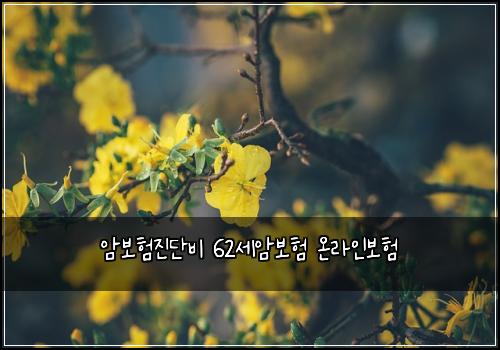 μ보νμ§λ¨λΉ 62μΈμ보ν μ¨λΌμΈλ³΄ν
