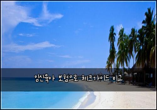 μμ μ‘μ 보νμΌλ‘ 체ν¬κ°μ΄λ λΉκ΅