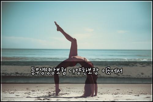 ๋๋ถ์๋ช
์๋ณดํ ๋ค์ํ๋ณด์ฅ ์ด๊ณณ์์