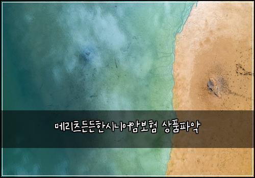 ๋ฉ๋ฆฌ์ธ ๋ ๋ ํ์๋์ด์๋ณดํ ์ํํ์