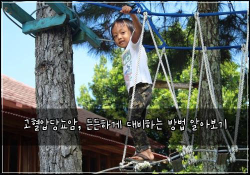고혈압당뇨암, 든든하게 대비하는 방법 알아보기