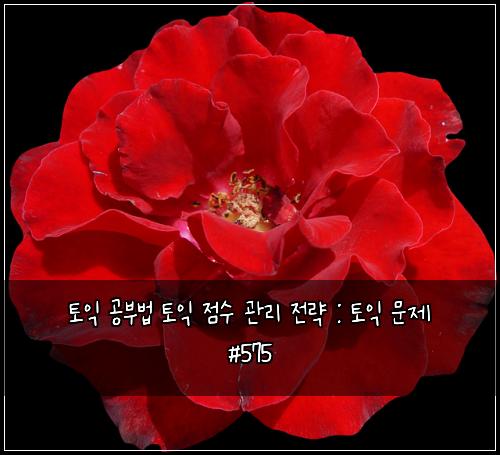 ํ ์ต ๊ณต๋ถ๋ฒ ํ ์ต ์ ์ ๊ด๋ฆฌ ์ ๋ต : ํ ์ต ๋ฌธ์ #575