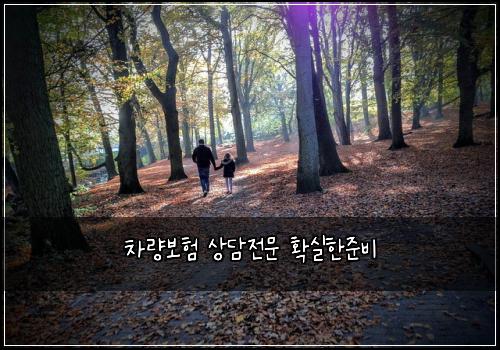 ์ฐจ๋๋ณดํ ์๋ด์ ๋ฌธ ํ์คํ์ค๋น