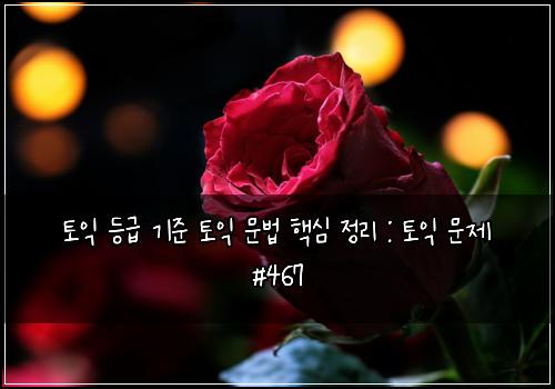 토익 등급 기준 토익 문법 핵심 정리 : 토익 문제 #467