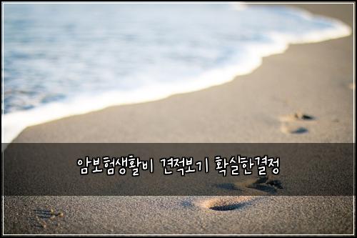암보험생활비 견적보기 확실한결정
