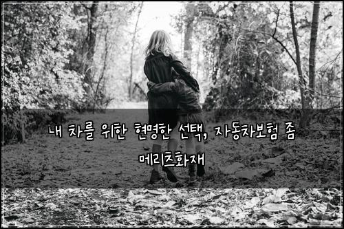  내 차를 위한 현명한 선택, 자동차보험 좀 메리츠화재