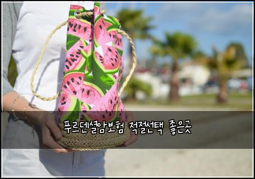 푸르덴셜암보험 적절선택  좋은곳