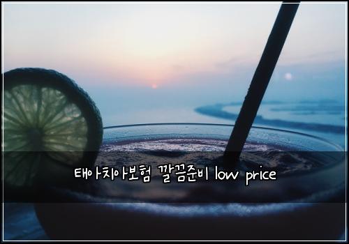 태아치아보험 깔끔준비  low price