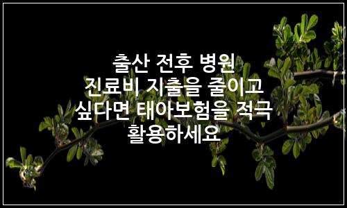 오늘의 이미지
