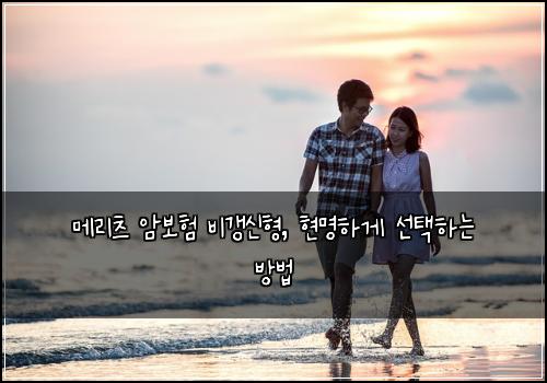 메리츠 암보험 비갱신형, 현명하게 선택하는 방법