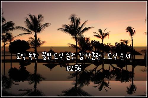 토익 독학 꿀팁 토익 실전 감각훈련 : 토익 문제 #2156