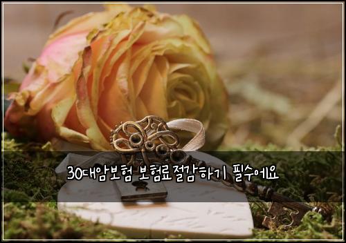 30๋์๋ณดํ ๋ณดํ๋ฃ์ ๊ฐํ๊ธฐ ํ์์์